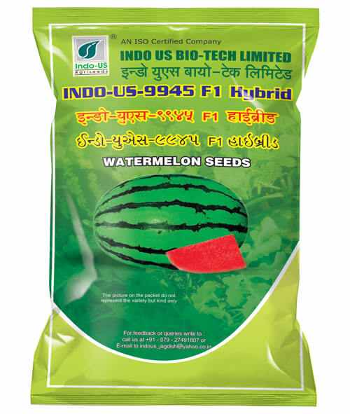 watermelon seeds